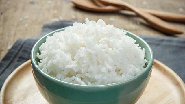Sumber energi nasi putih untuk ayam 