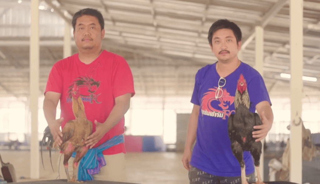Ayam aduan termahal