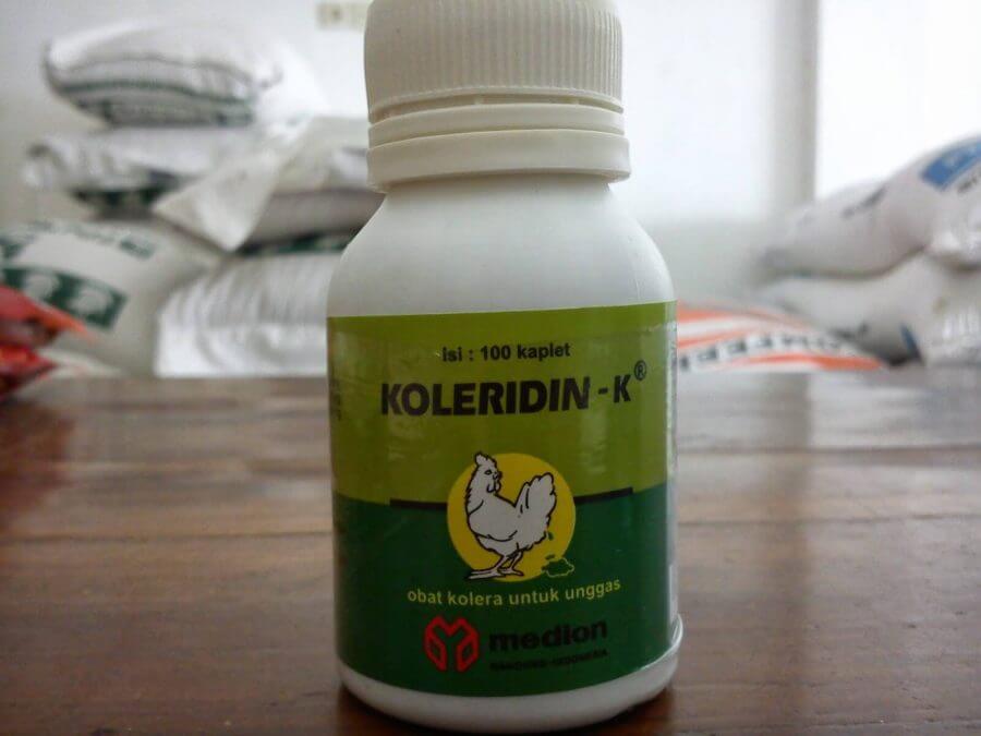 Manfaat obat ayam koleridin