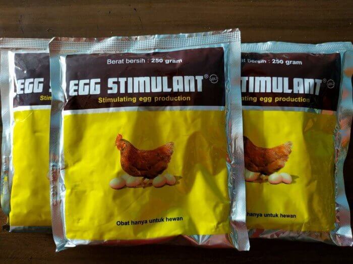 Egg stimulant ayam petelur dan burung puyuh